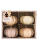 Becki Owens Set of 4 Decorative Cream-Colored Pumpkins