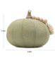 Load image into Gallery viewer, Knit Pumpkin with Sage Green Color - Dimensions Picture
