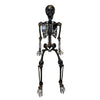 Becki Owens 61-inch Dark Brass-Colored Posable Skeleton
