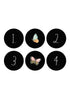 Rae Dunn Set of 6 Black Round Door Knobs with Butterflies