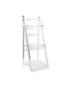Simply Brilliant Acrylic Ladder Shelf