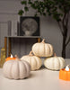 Load image into Gallery viewer, Becki Owens Cream Pumpkins Set - Lifestyle
