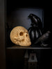 Load image into Gallery viewer, Becki Owens Wicker-Look Resin Decorative Skull
