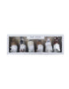 Load image into Gallery viewer, A front-angle view of a set of 6 hanging Gnome-themed ornaments is presented. The gnomes are neatly arranged inside their packaging, which is a rectangular-shaped box with a transparent front, allowing the gnomes to be visible.

