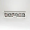 Load image into Gallery viewer, Becki Owens Set of 6 Easter Eggs with Speckles
