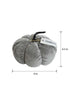 Load image into Gallery viewer, Plush Gray Pumpkin by Rae Dunn - Dimensions
