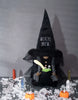 Load image into Gallery viewer, Witch Scary Gnome - Lifestyle
