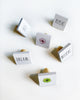 Load image into Gallery viewer, Rae Dunn &quot;Believe&quot; Set of 6 White Wood Squared Drawer Pulls
