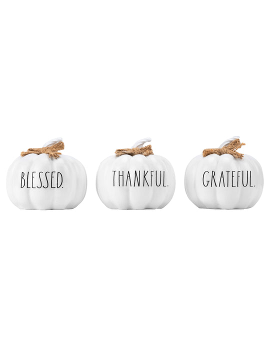 Rae Dunn “Blessed” Set of 3 White Decorative Pumpkins