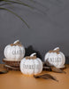 Load image into Gallery viewer, Rae Dunn “Blessed” Set of 3 White Decorative Pumpkins
