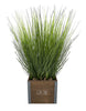 Load image into Gallery viewer, Rae Dunn “Grow” Artificial Grass Plants with Wooden Planter
