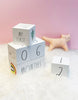 Load image into Gallery viewer, Rae Dunn White Wooden Milestone Baby Blocks for Photos
