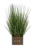 Load image into Gallery viewer, Rae Dunn “Bloom” Artificial Grass Plants with Wooden Planter
