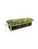 Load image into Gallery viewer, Rae Dunn “Flowers &amp; Garden” Wood Planter with Fake Plants
